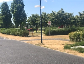 Nieuwe aanplant in Bangert en Oosterpolder
