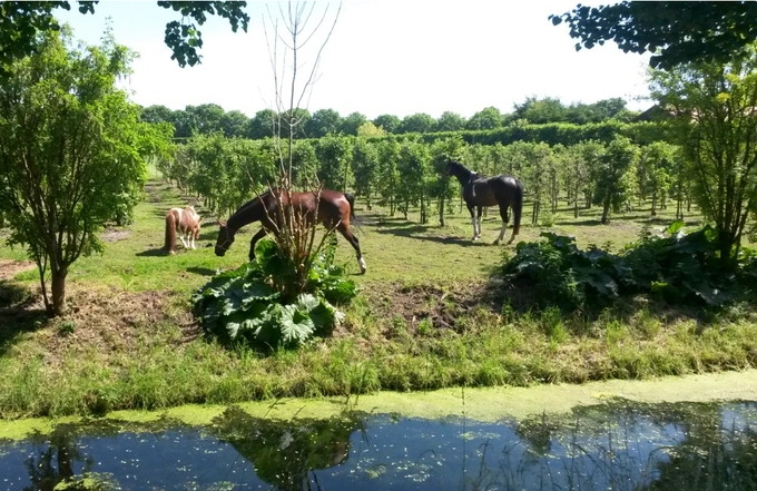 Boeren en bessentelers in Zwaag