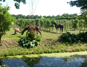 Boeren en bessentelers in Zwaag
