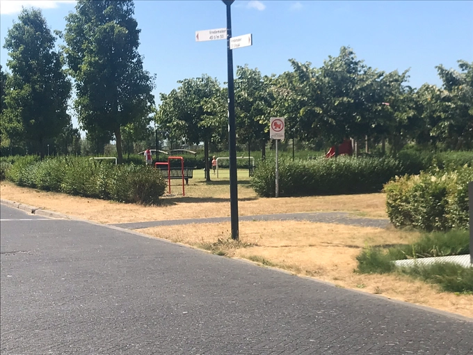 Nieuwe aanplant in Bangert en Oosterpolder